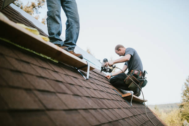 Best Roof Gutter Cleaning  in Smithfield, NC